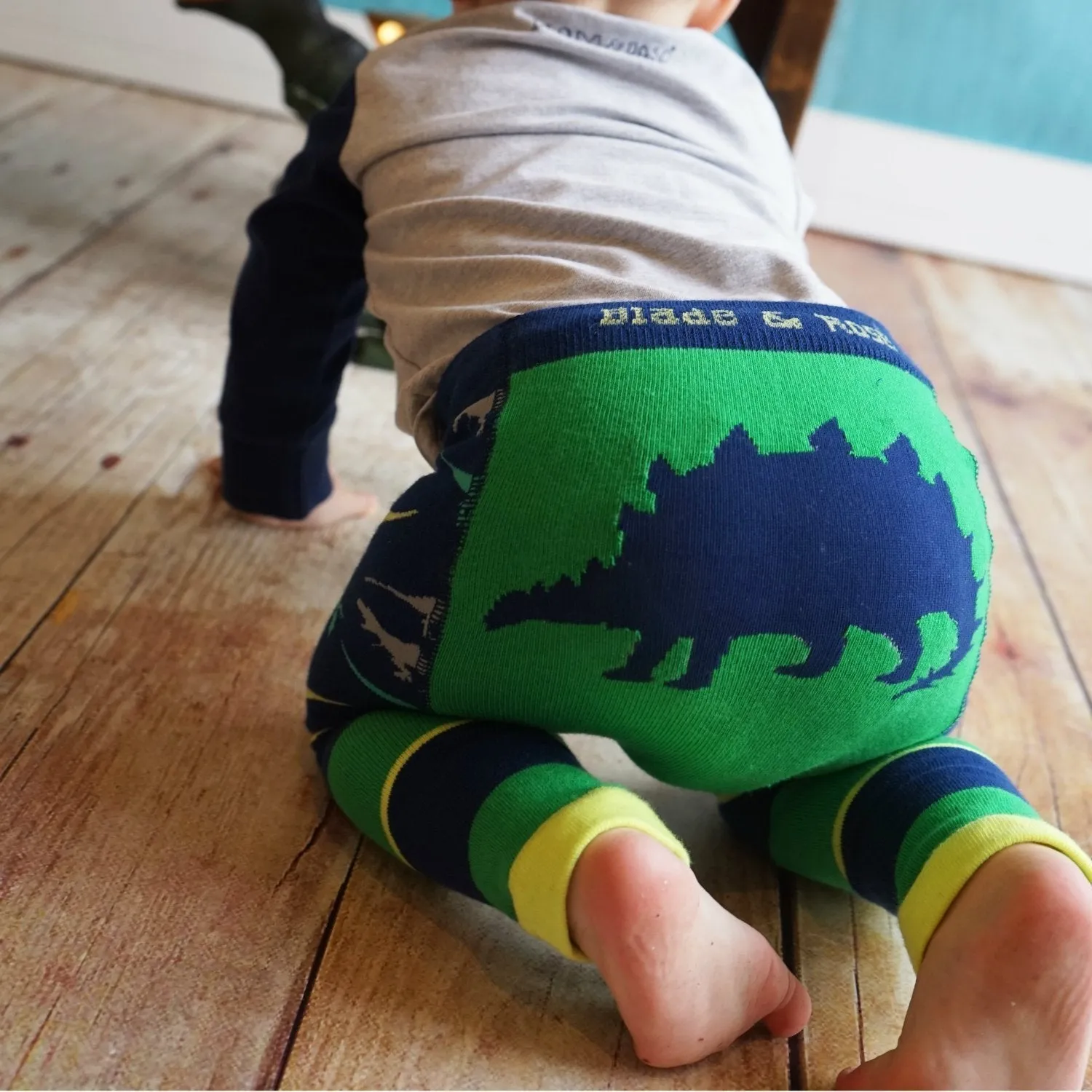 Blade and Rose Stegosaurus Leggings 劍龍彈力嬰兒屁屁褲(0-6m)