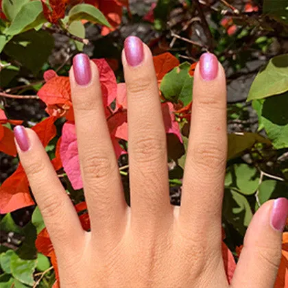 Evening Orchid Starter Set - Non Toxic Nail Polish