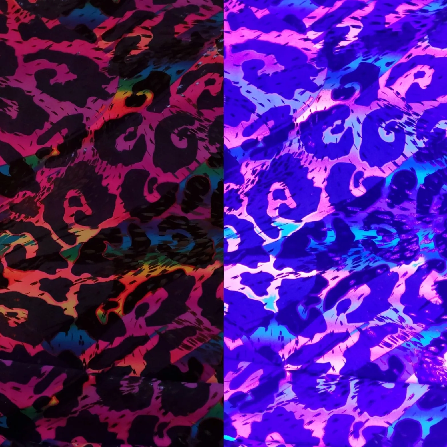 Glow Cheetah