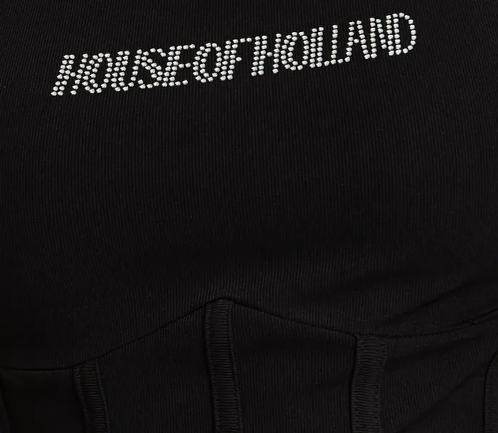 House Of Holland Corset Crop Top In Black