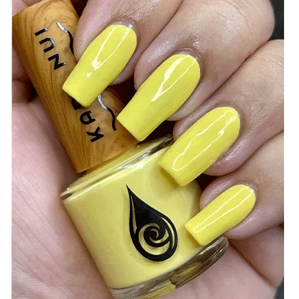 Liliko'i Starter Set - Non Toxic Nail Polish