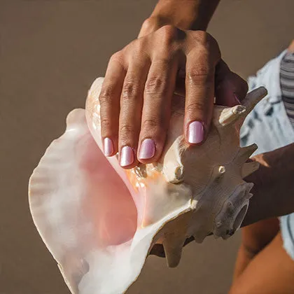 Seashells Heart Starter Set - Non Toxic Nail Polish