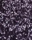 Sleeveless High Neck Sequin Top