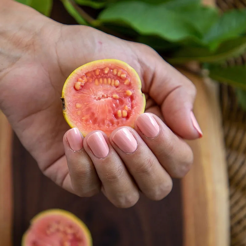 Strawberry Guava - Non Toxic Nail Polish