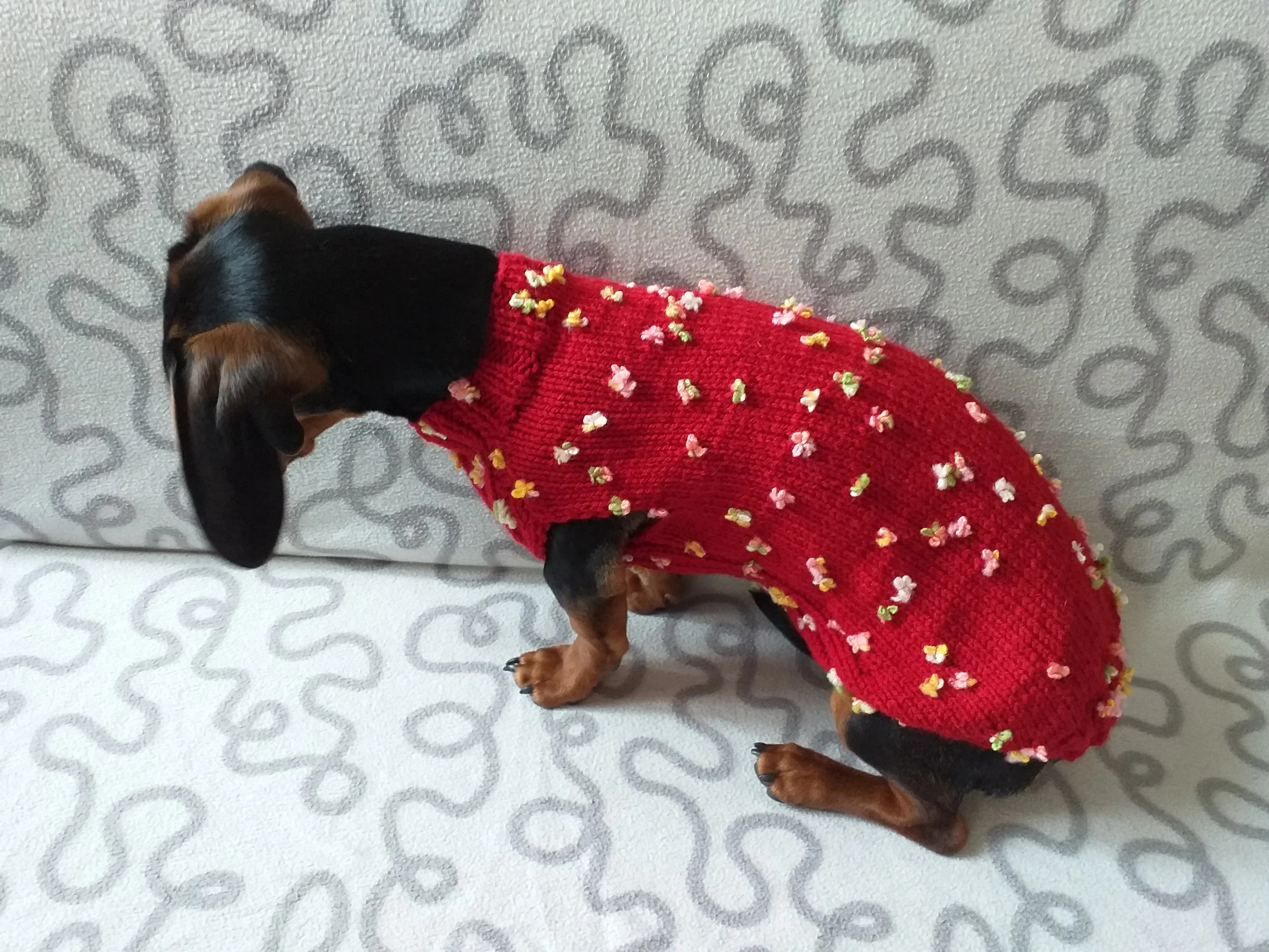 Sweater with flowers and butterflies for miniature dachshund or small dog.