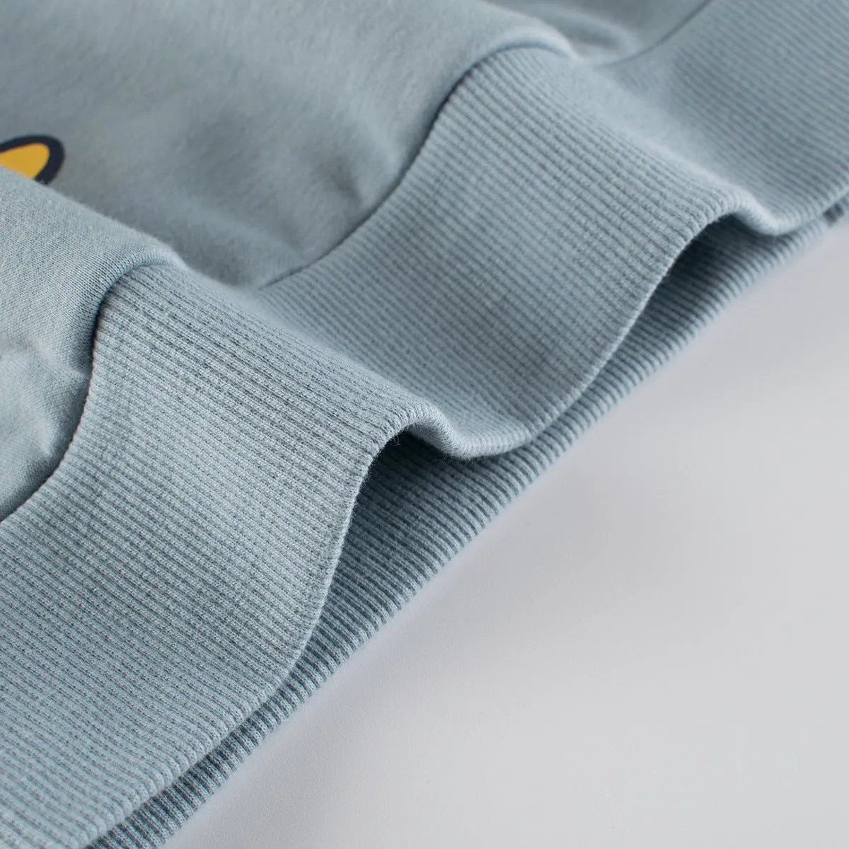 Toddler/Kid's Cartoon Rhino Blue Cotton Sweatshirt