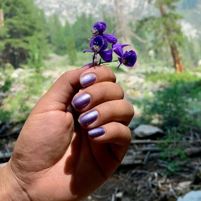Uala Starter Set - Non Toxic Nail Polish
