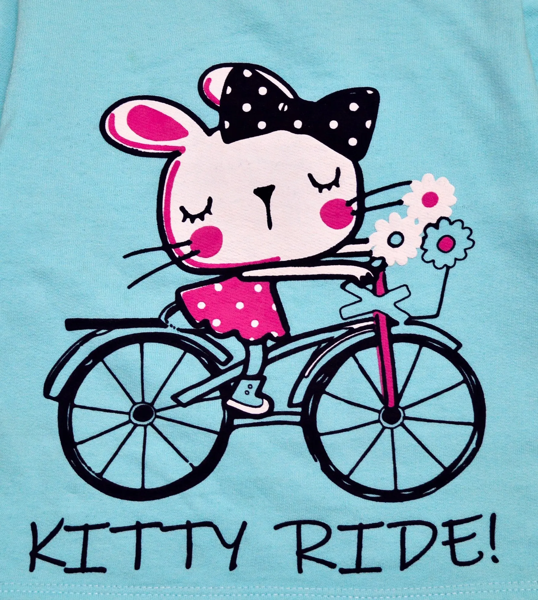 Winter Sweatshirt Combo - Cupcake and Kitty